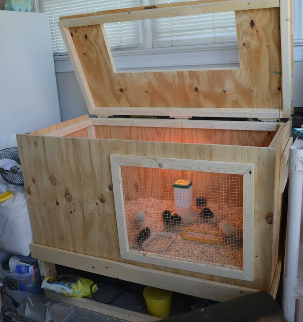 DIY wooden brooder