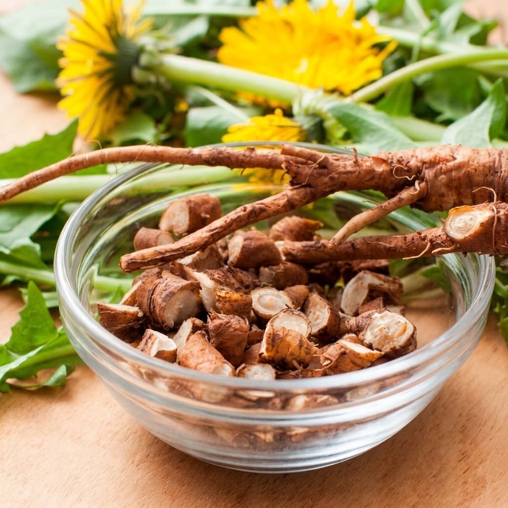 Using dandelion Roots