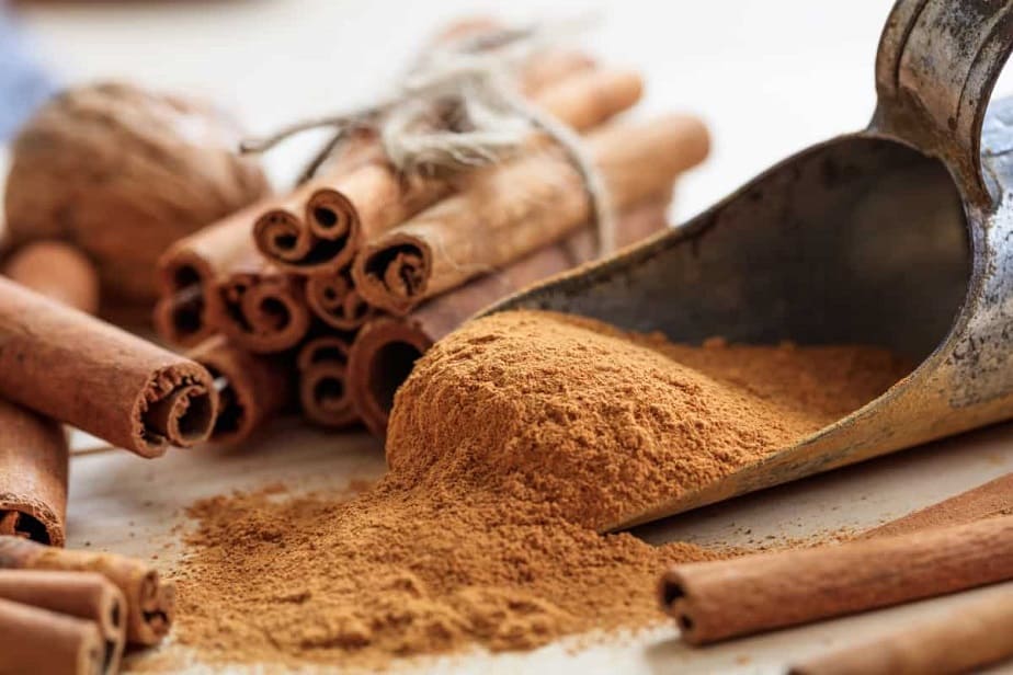 Power of Cinnamon in Your Garden