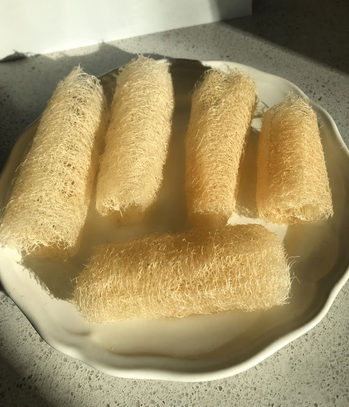 Drying Loofah