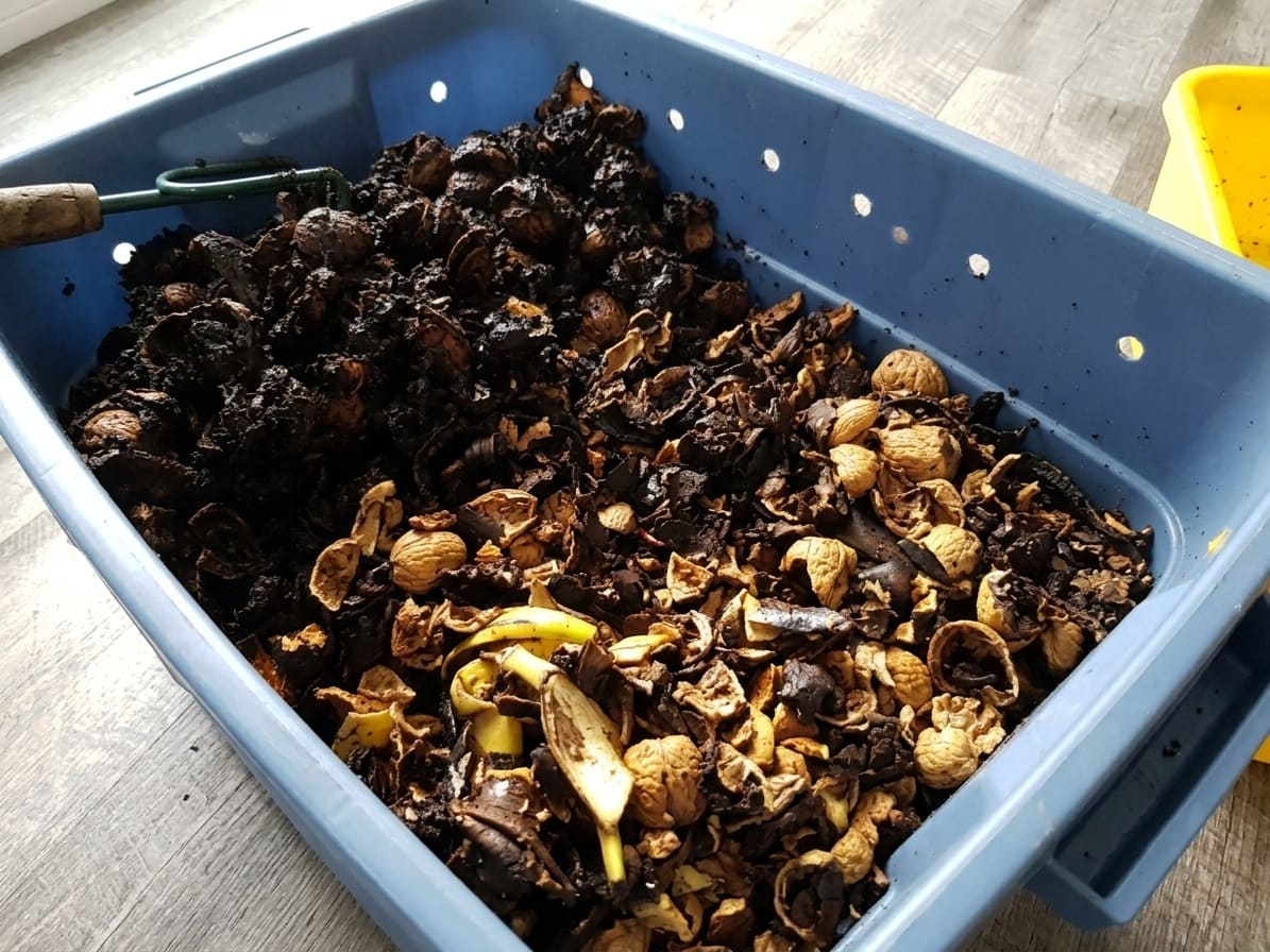 Feed banana peels for a Worm Bin
