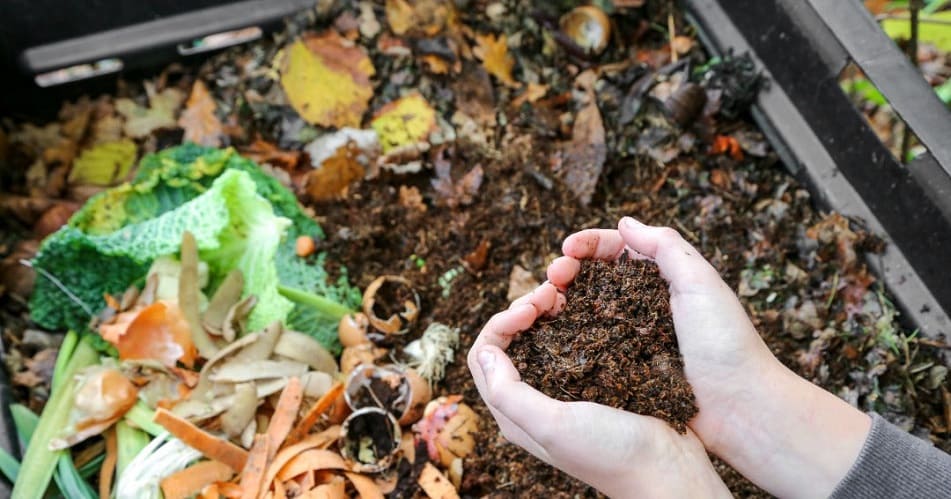 Home Composting