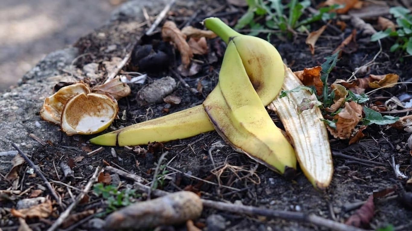 How to Use Banana Peels in the Garden