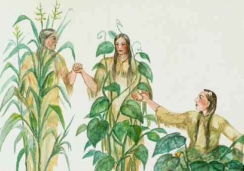 Three Sisters Garden In History