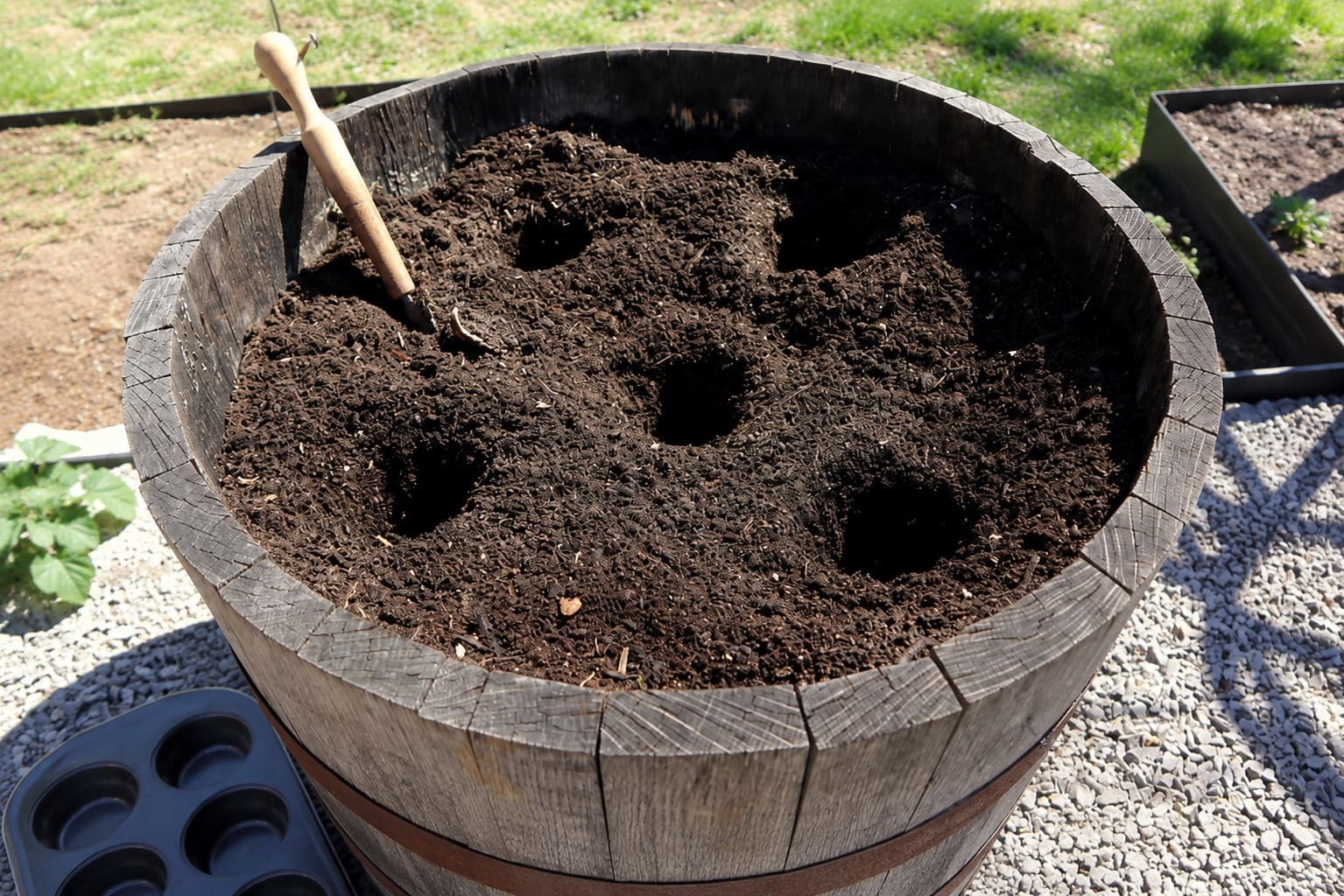 Puting soil mix in Containers