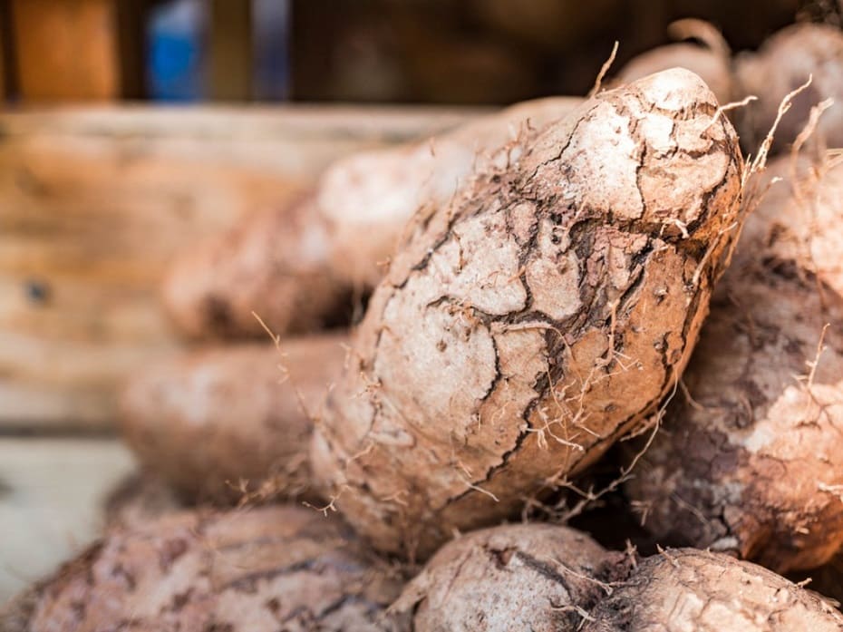 How to Grow Yams