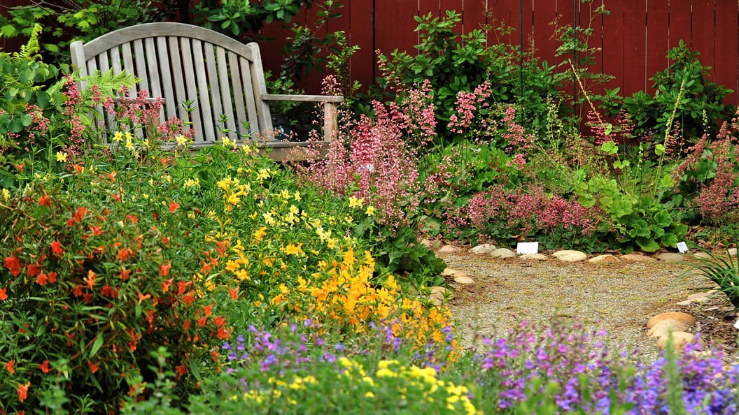 Pollinator-Friendly Garden