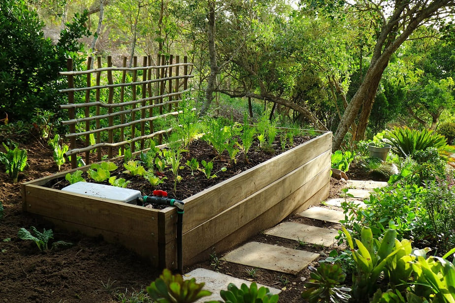 How to Build a Wicking Bed