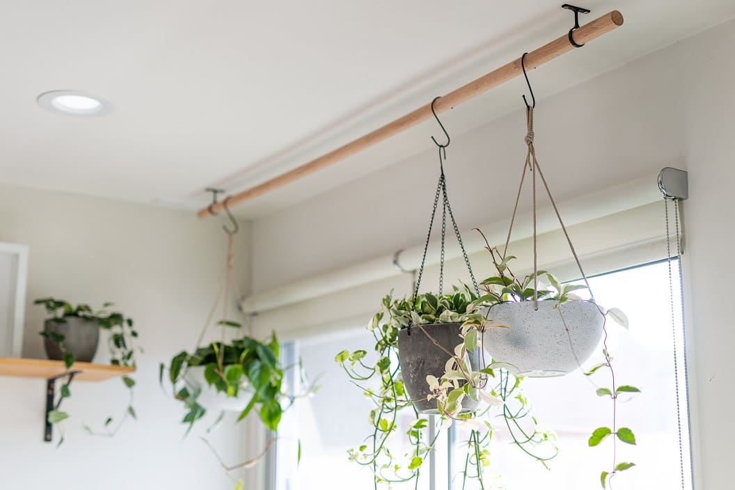 How to Hang Plants