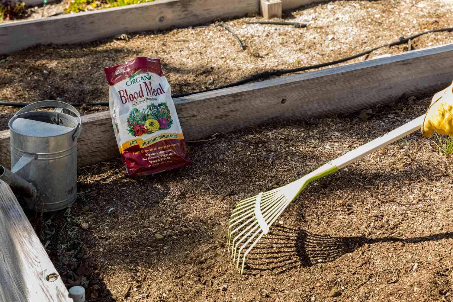 How to Add Nitrogen to Soil