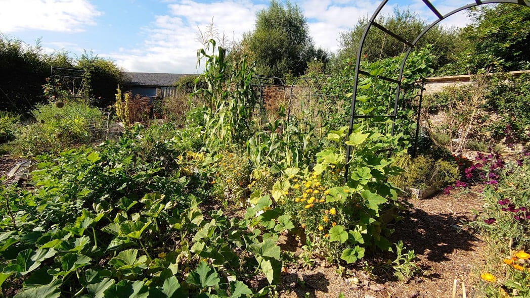 Polyculture Gardening