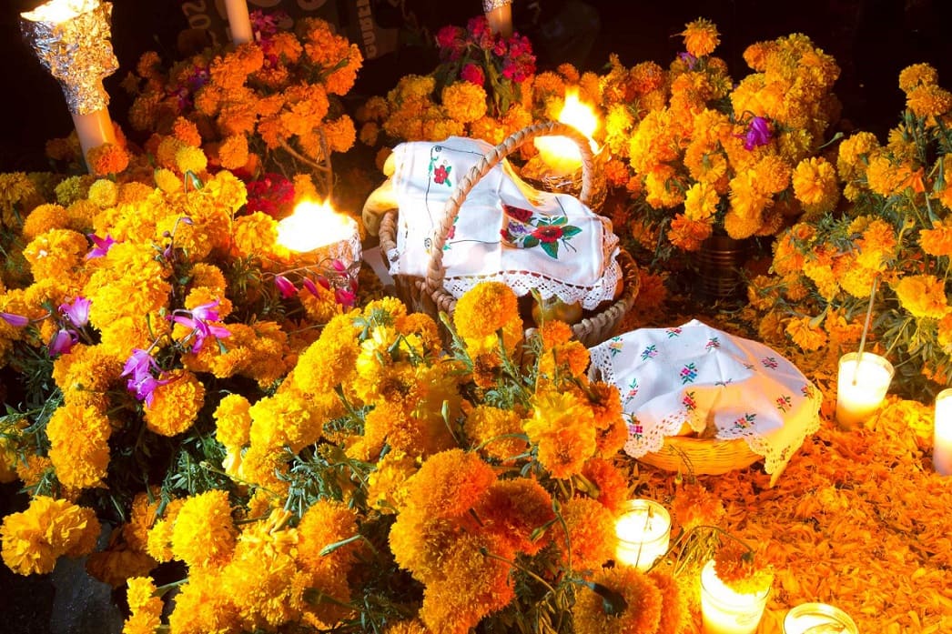 Day of the Dead Flowers