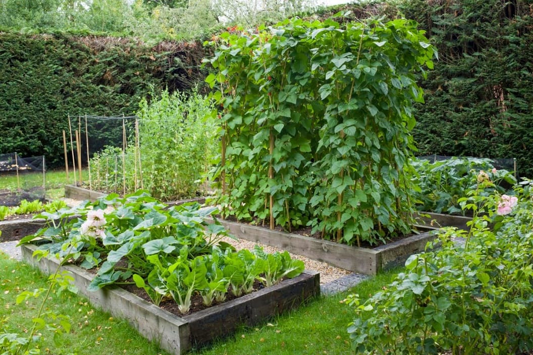Self-Sufficient Gardening