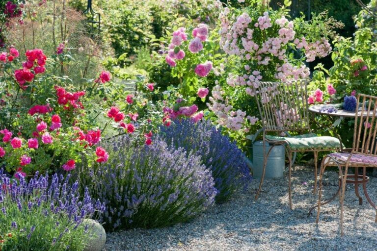 The 60 Best Fragrant Plants for Scented Gardens Every Season
