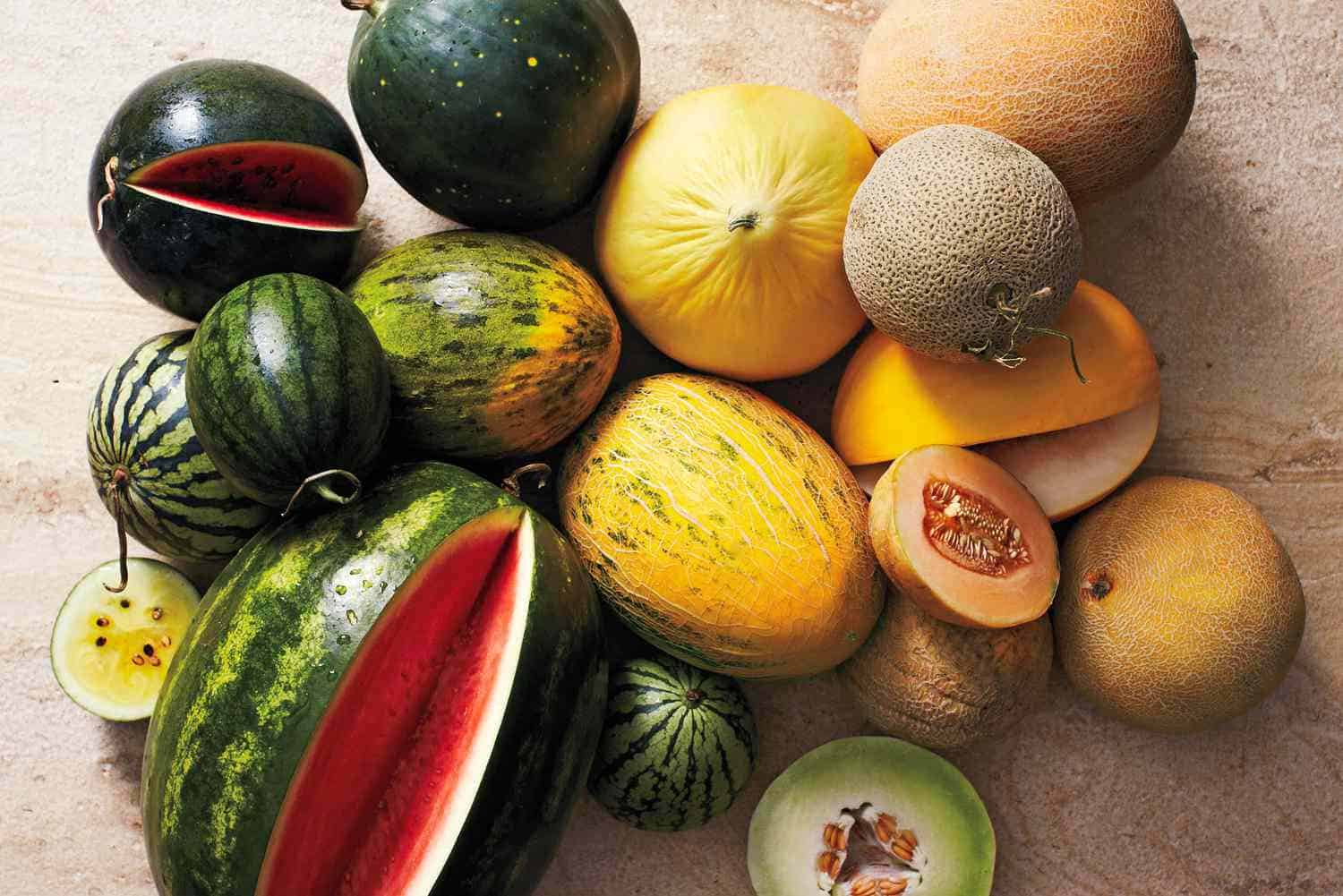 Types of Melons