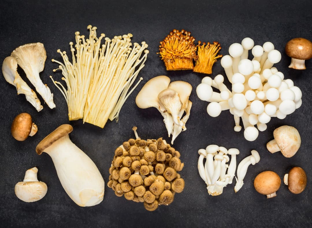 Types of Mushrooms