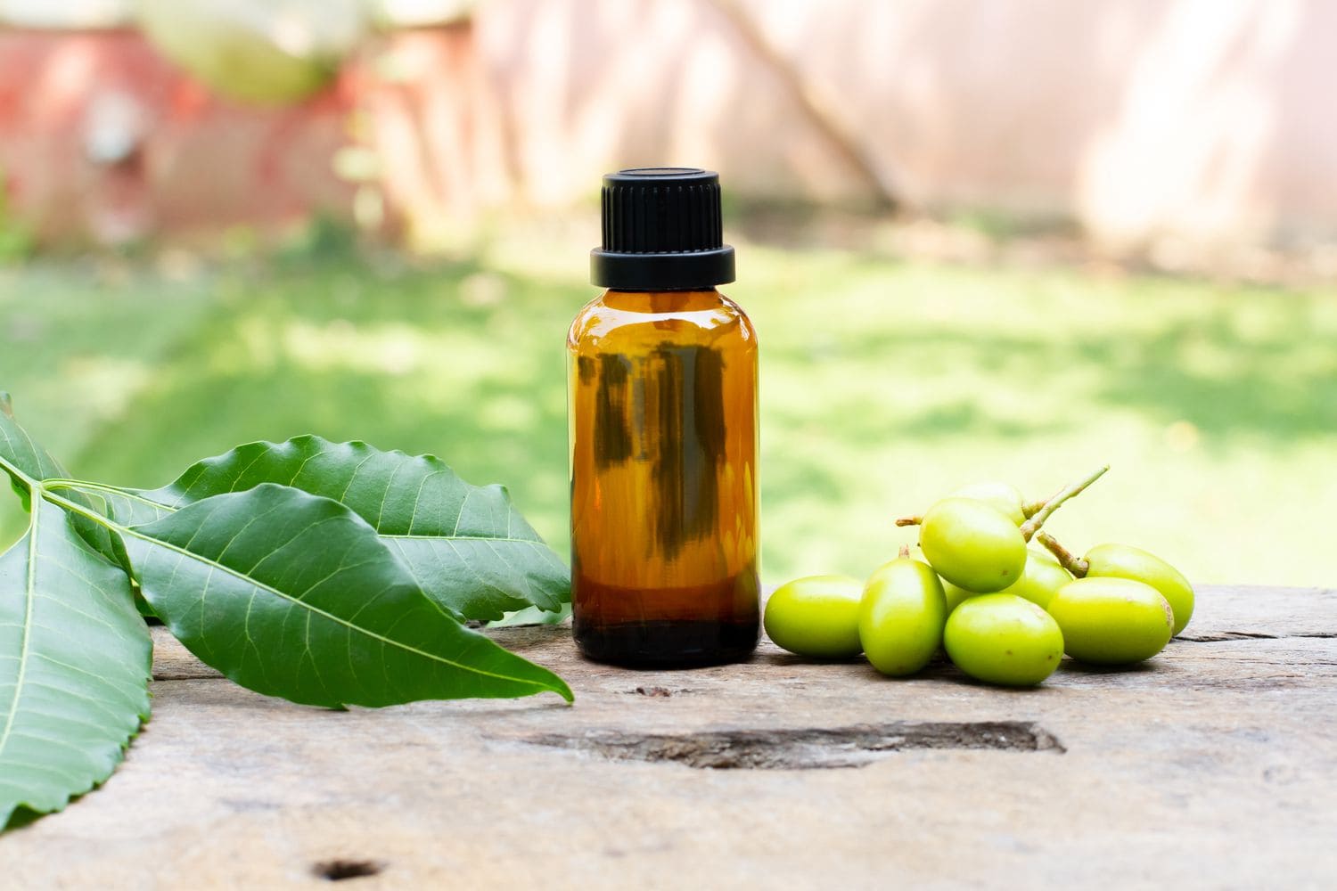 How to Use Neem Oil