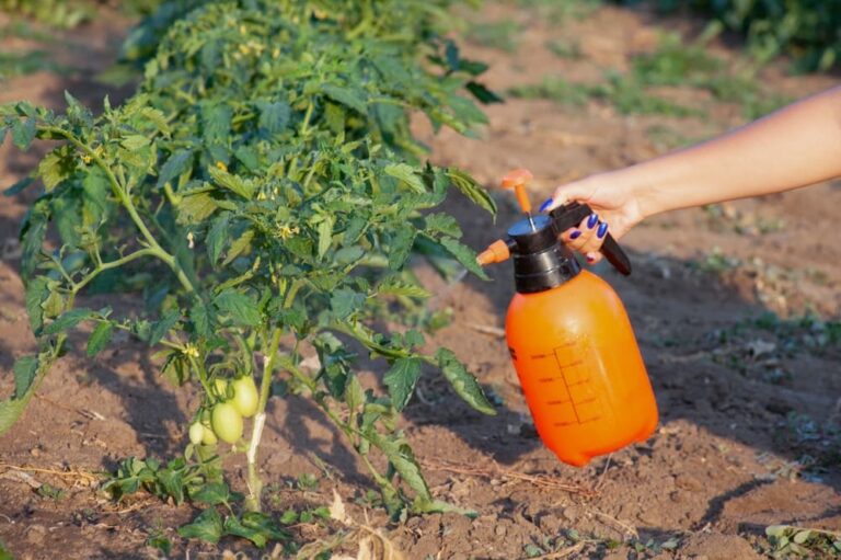 How to Use Diatomaceous Earth for Garden Pest Control
