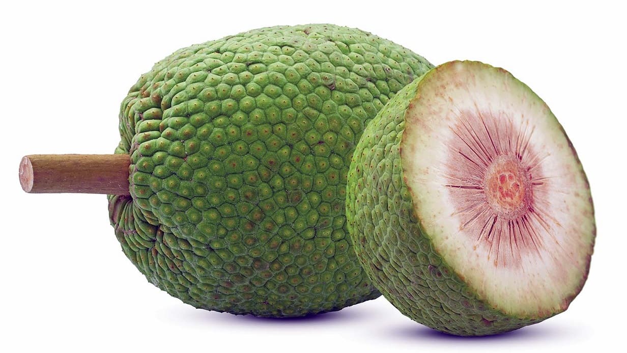 What Is Breadfruit