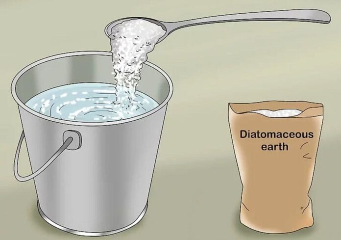 How to Use Diatomaceous Earth for Garden Pest Control