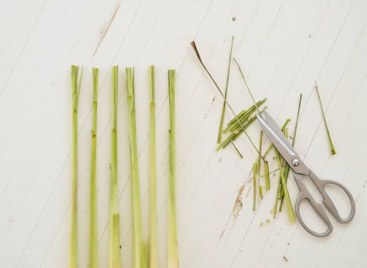 Preparing Lemongrass Stalks for Rooting