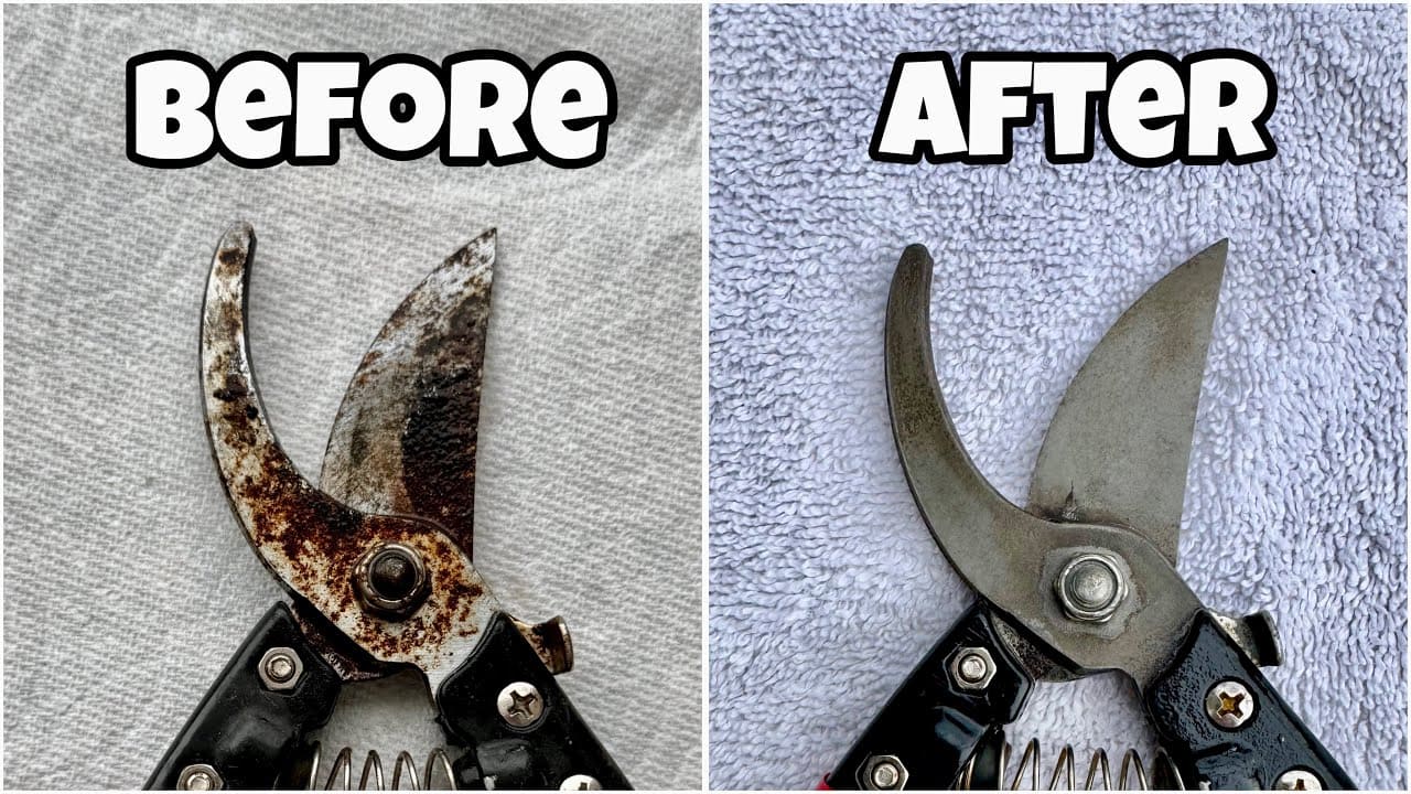 Remove Rust from Garden Tools