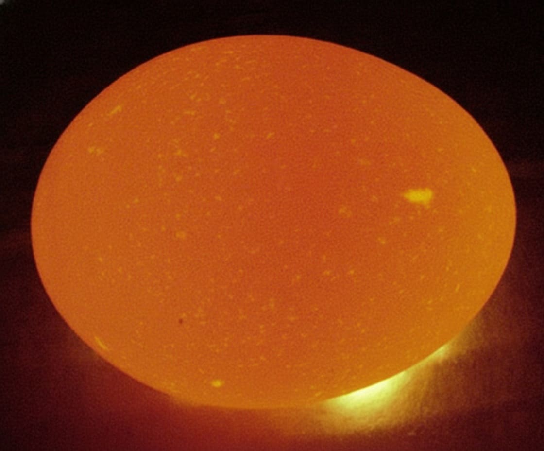 Clear Egg (Infertile)