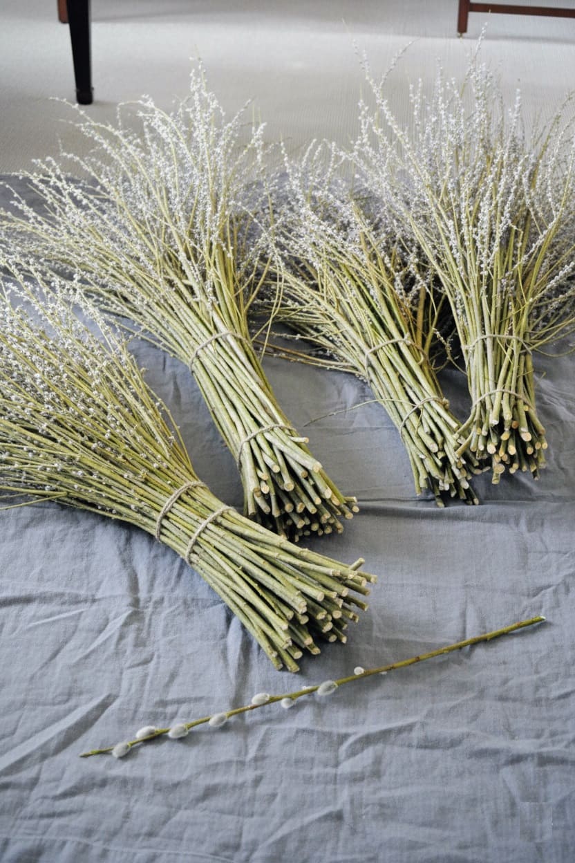 Cut Pussy Willow branches