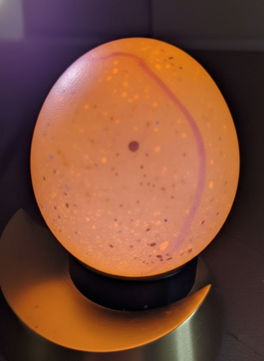 blood ring egg