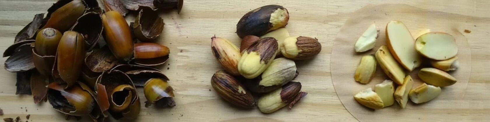 Acorns Cook Can You Eat Acorns? Processing, Recipes & Safety Guide 2026