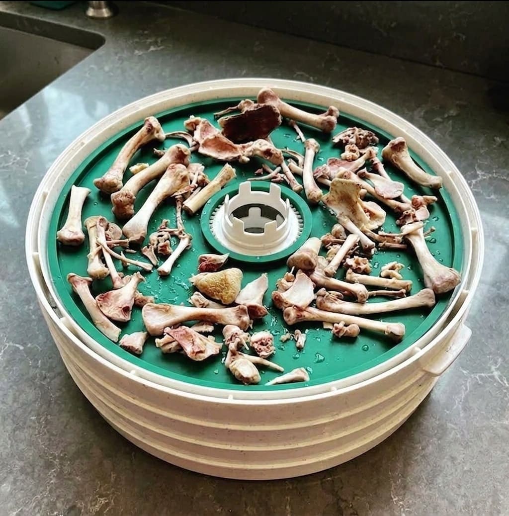 Drying Bones In Electric Dehydrator