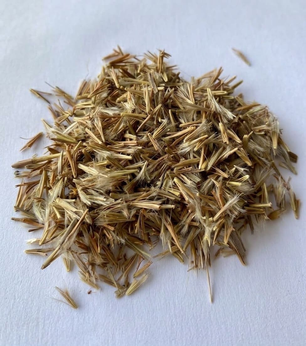 Little bluestem seeds