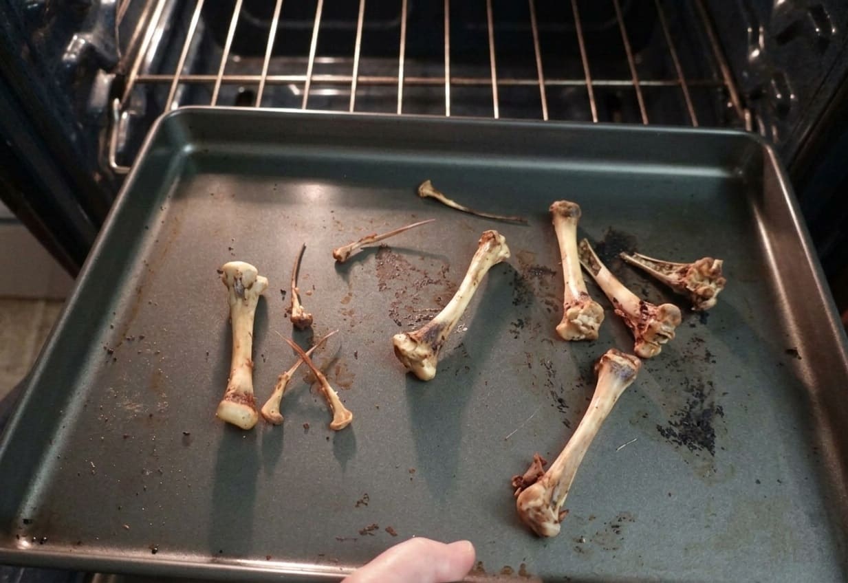 Oven Drying Bones