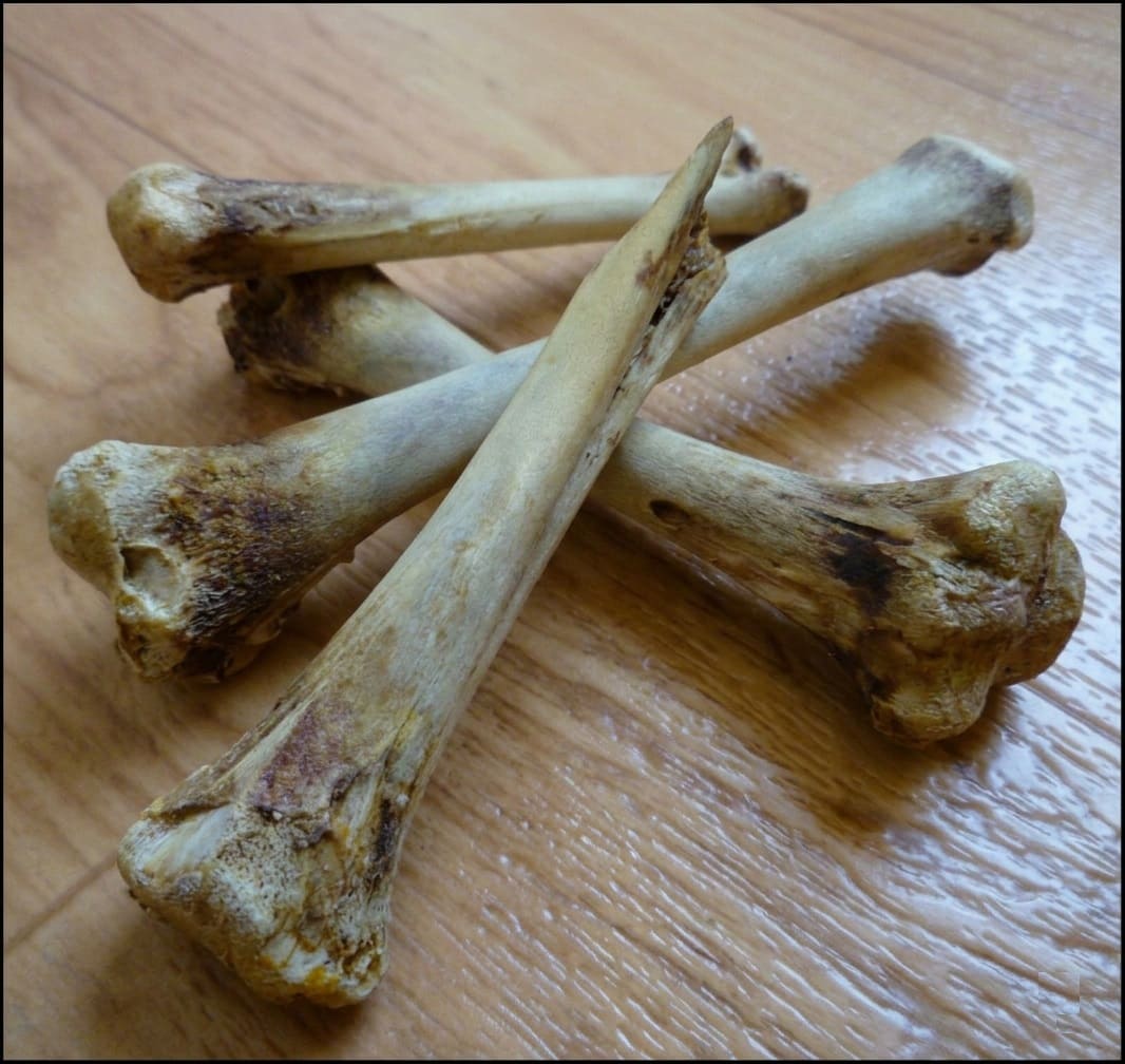 Raw Bone Materials