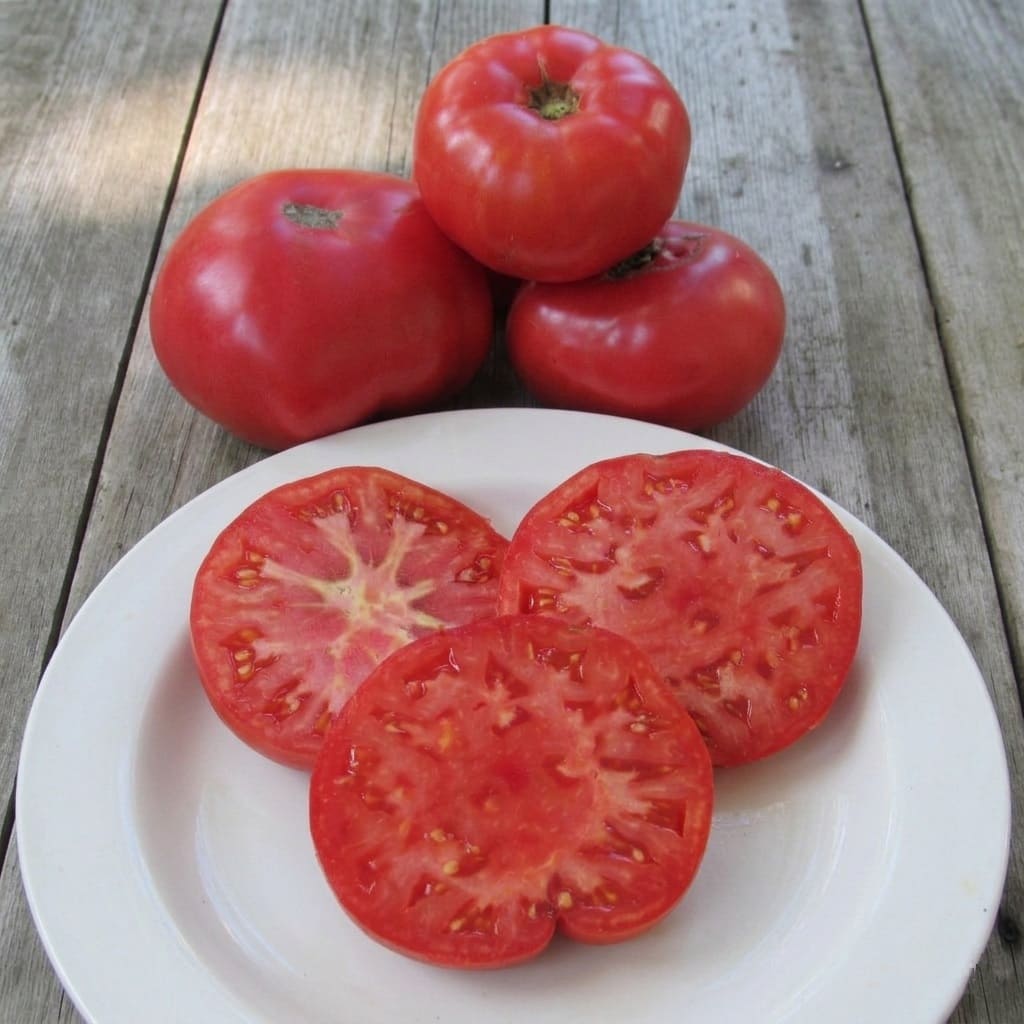 Saving Mortgage Lifter Tomato Seeds