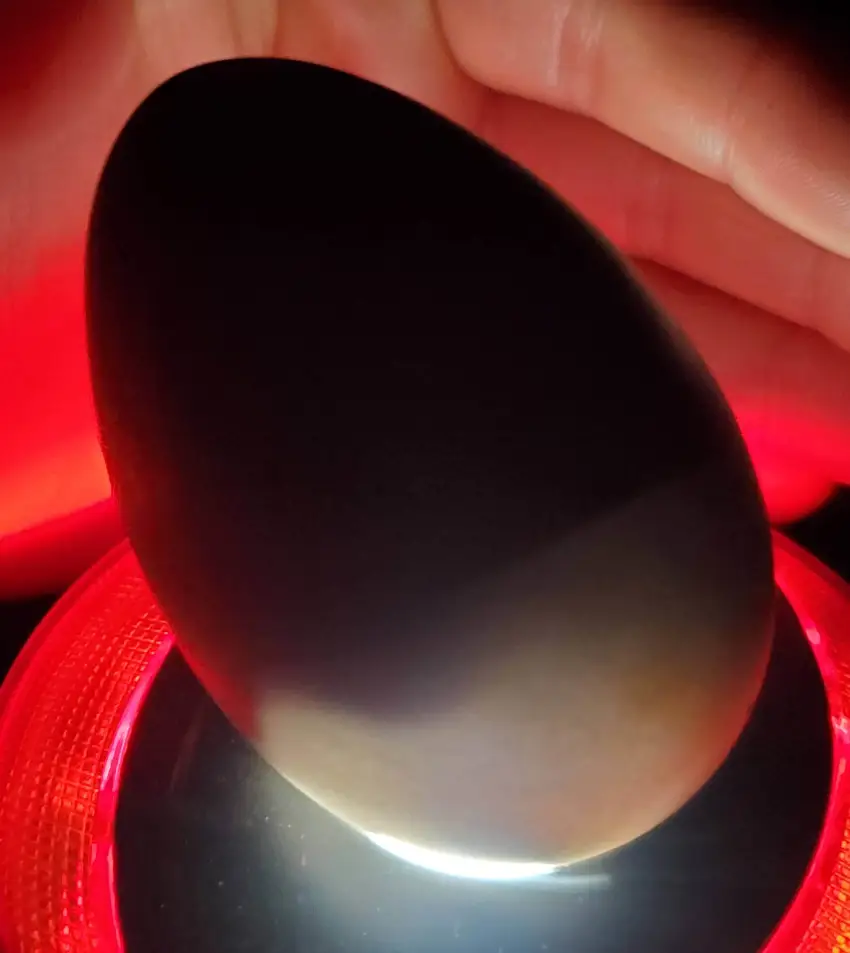 Day 25 Goose Egg Pre-Lockdown Check