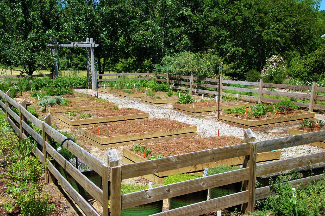 Gardening in Alabama