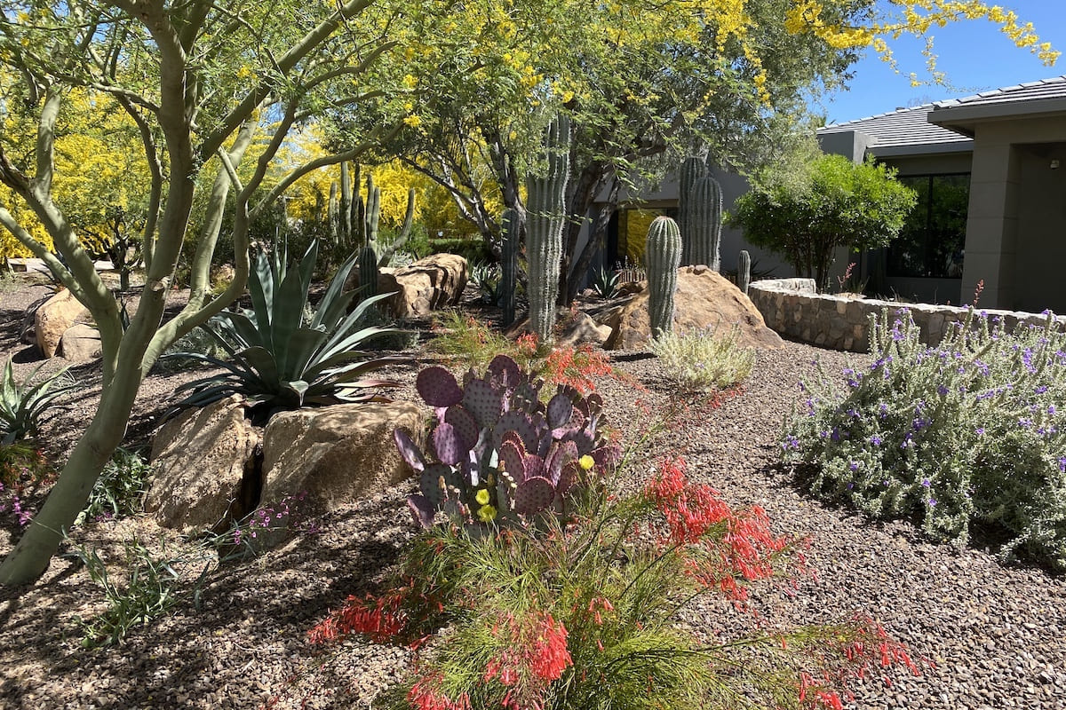 Gardening in Arizona