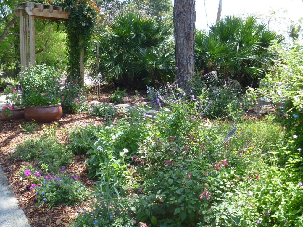 Gardening in Florida