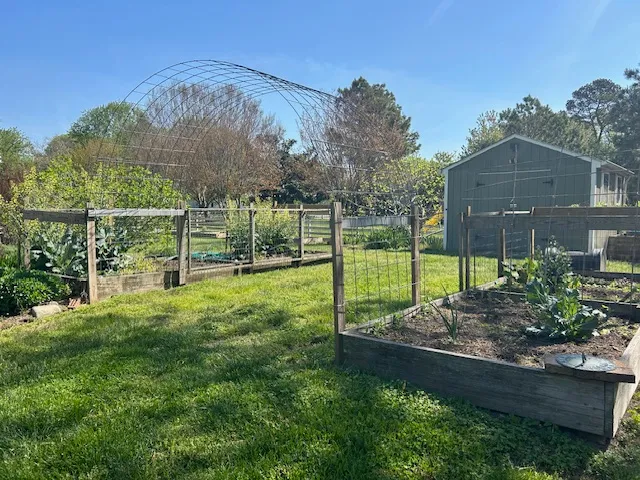 Gardening in Maryland