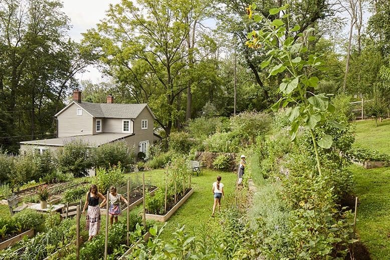 Gardening in New Jersey