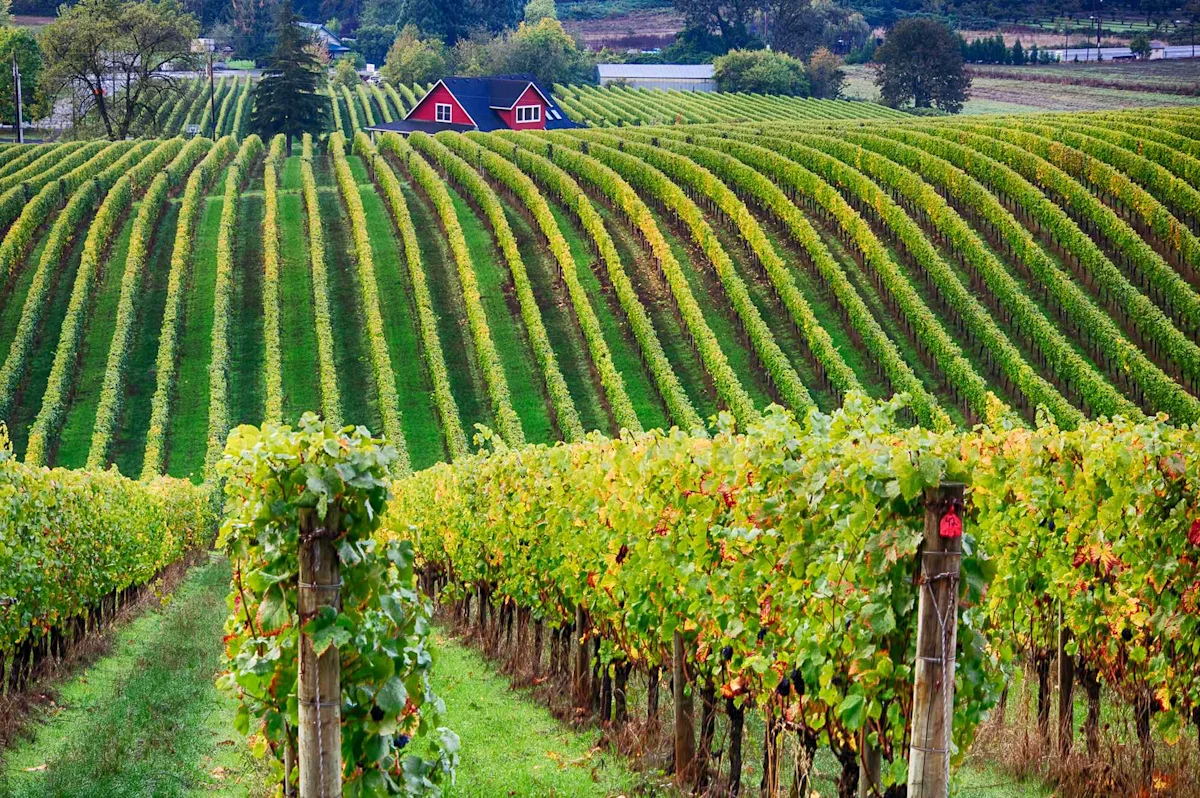 Gardening in Oregon's Willamette Valley