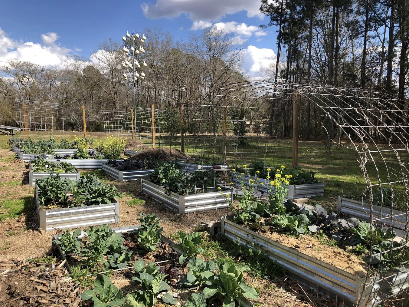 Gardening in South Carolina