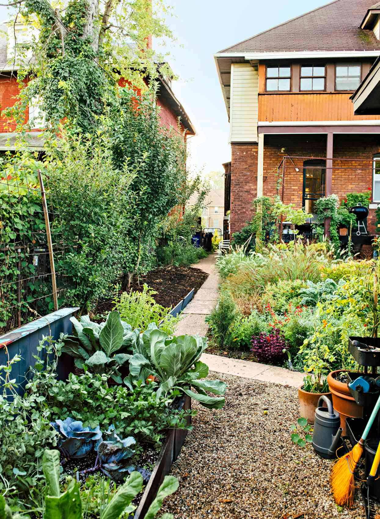 Gardening in The Midwest