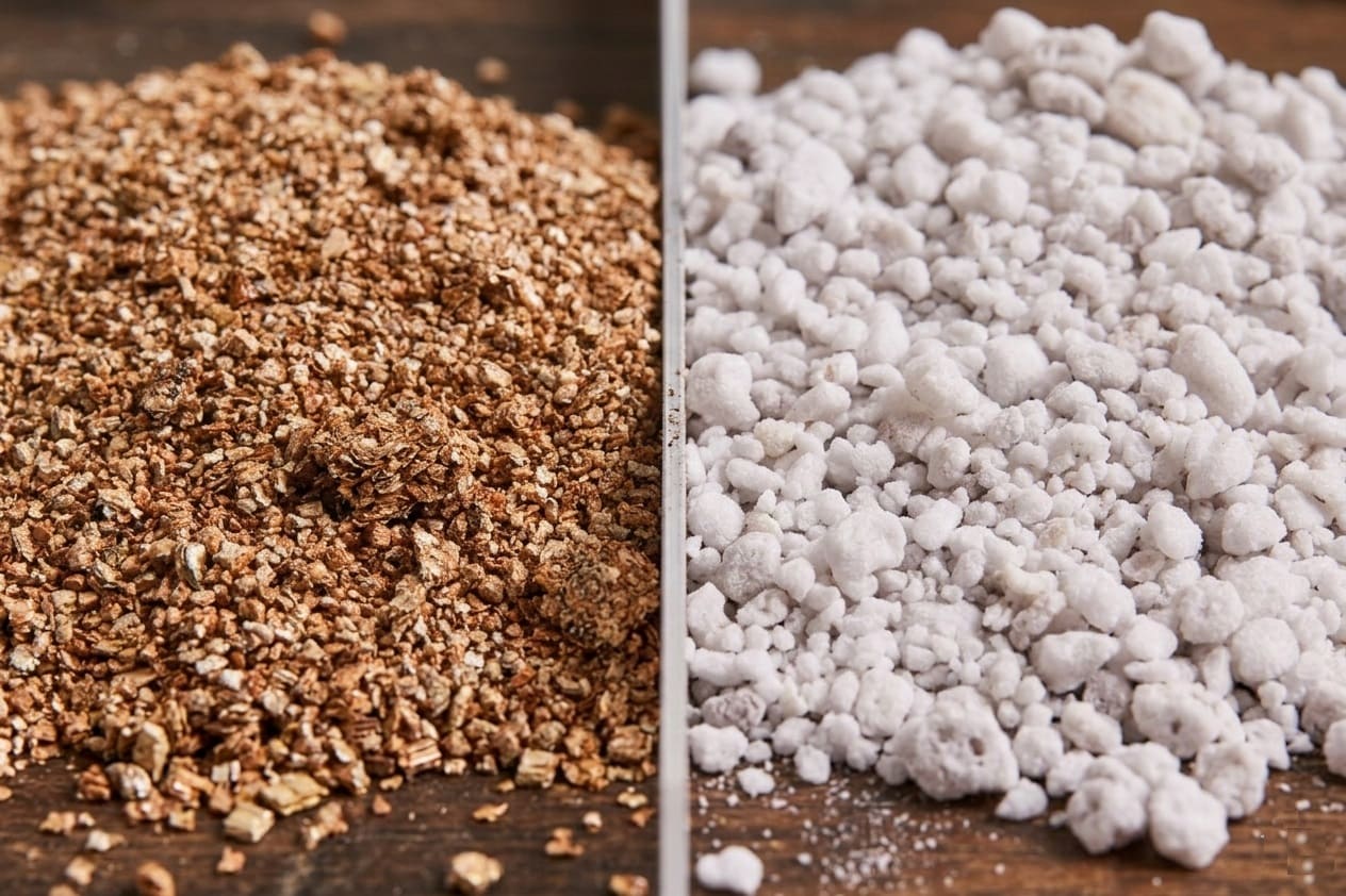 Vermiculite vs Perlite