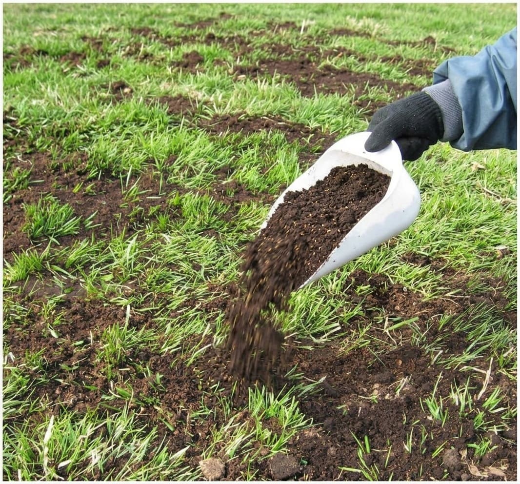 Scatter clover