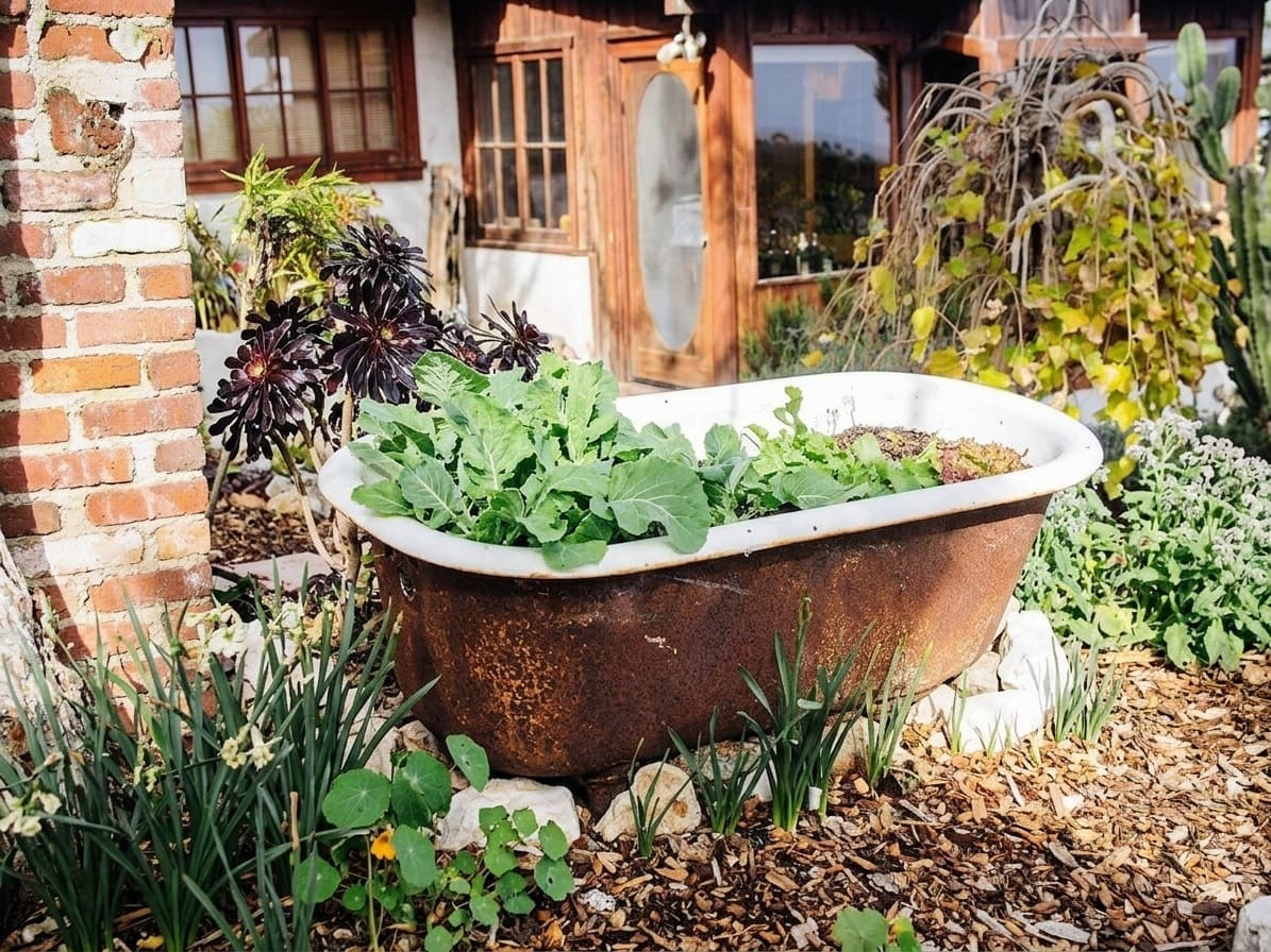 a raised garden bed made of an old bathtub