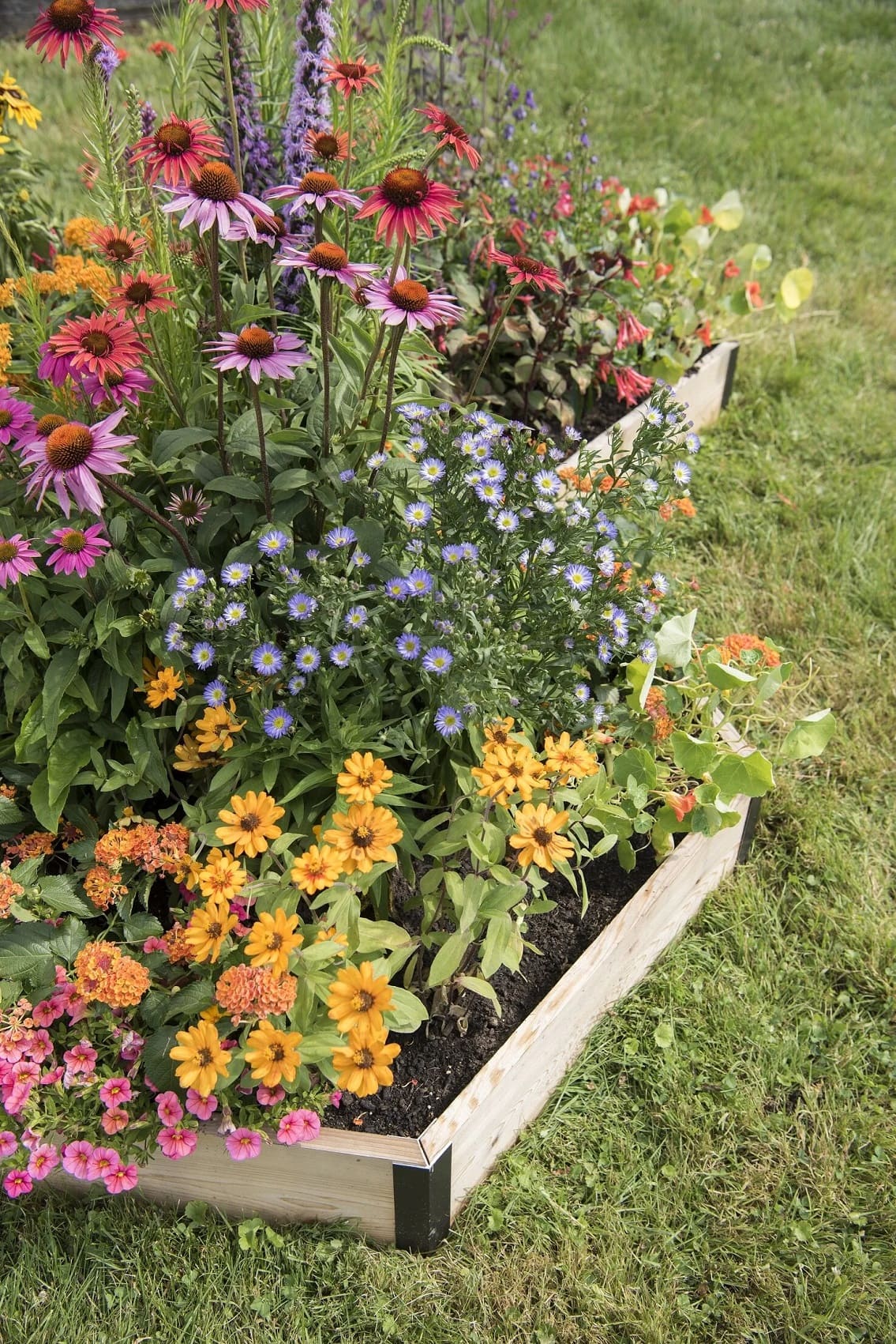 A pollinator bed done properly