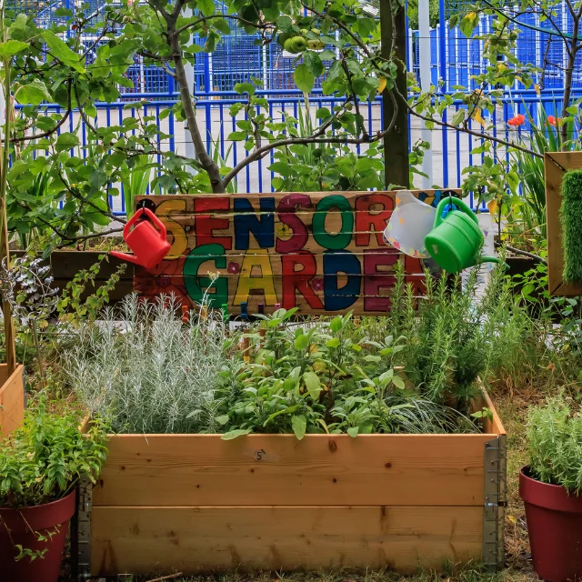 A sensory flower bed for kids