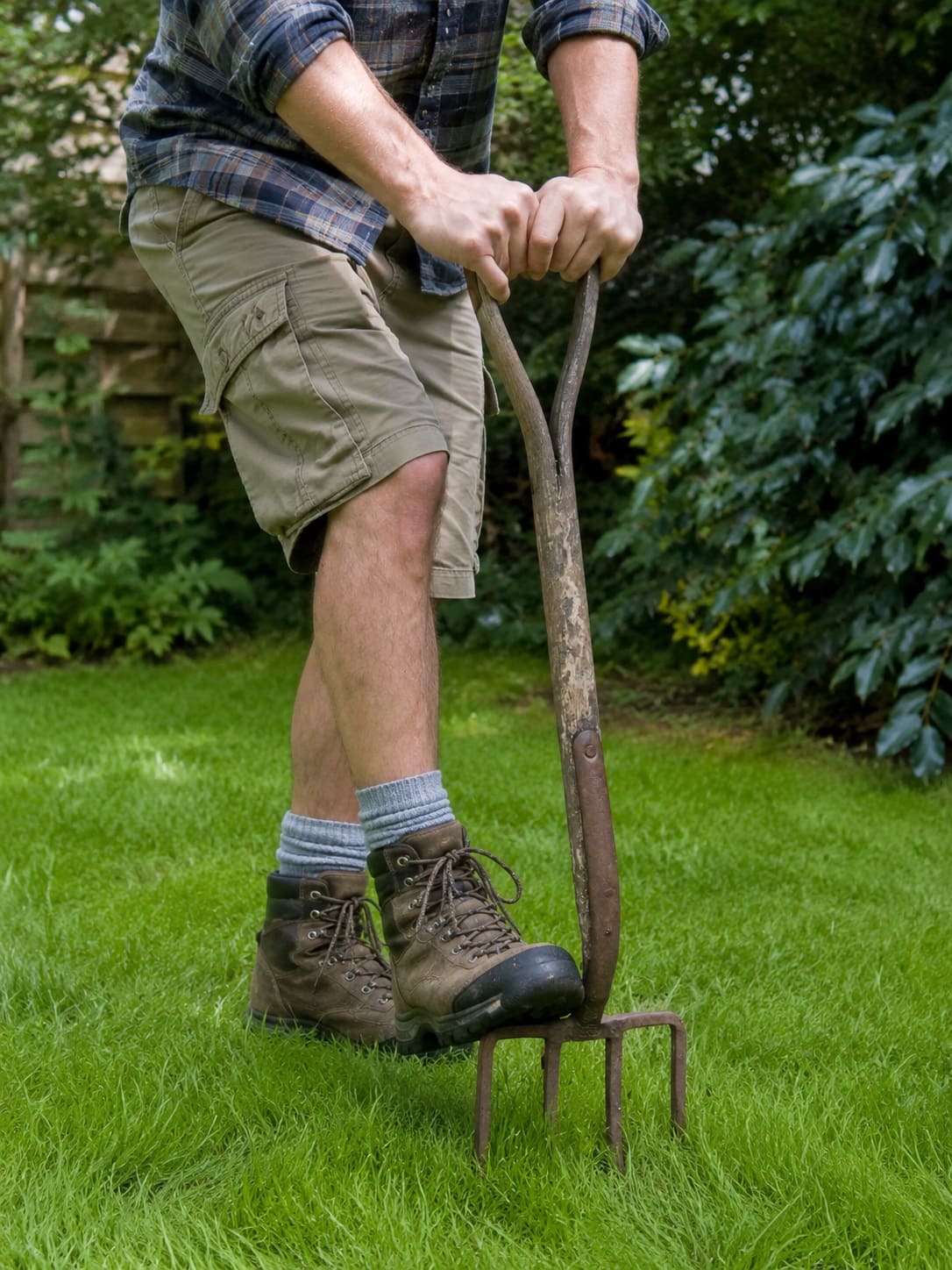 Aerating The Lawn